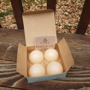 (4) PartyLite French Vanilla Aroma Melts - 2 1/4"